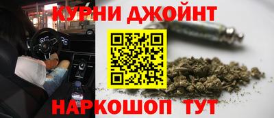 сатива Краснодар
