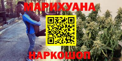гашик Кулебаки