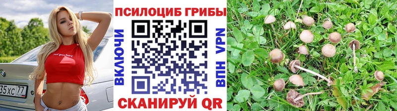 hydra рабочий сайт  Кимры  Галлюциногенные грибы Psilocybe 