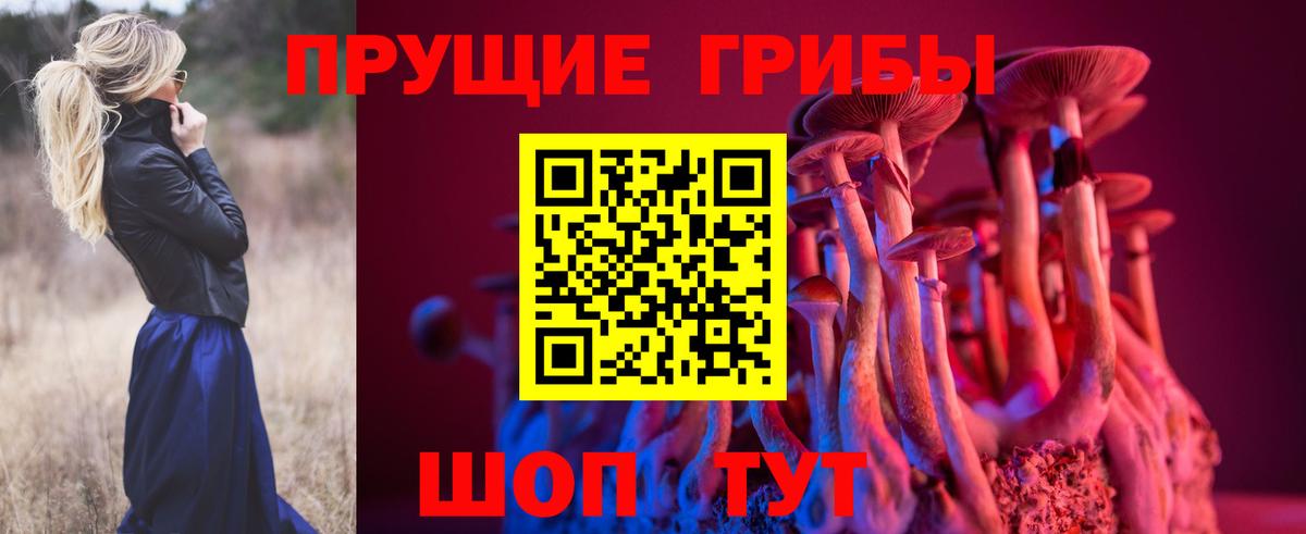 Галлюциногенные грибы GOLDEN TEACHER  Вход с VPN  Псилоцибиновые грибы ЛСД  Кимры 